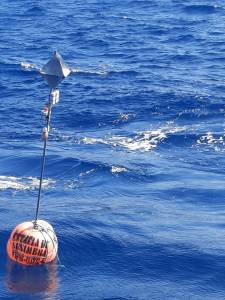 Buoy at sea