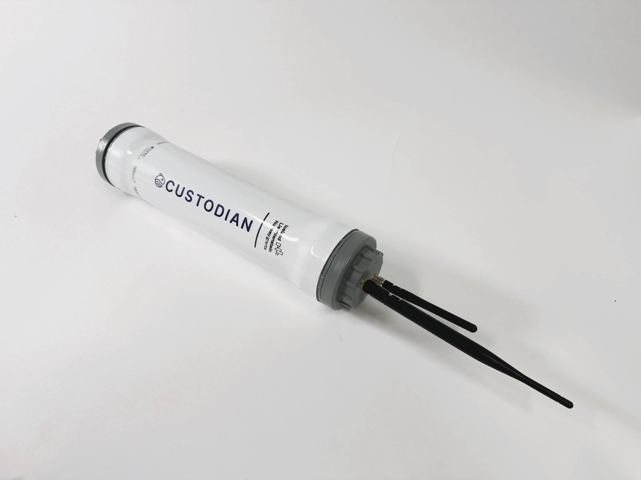 C-Mesh